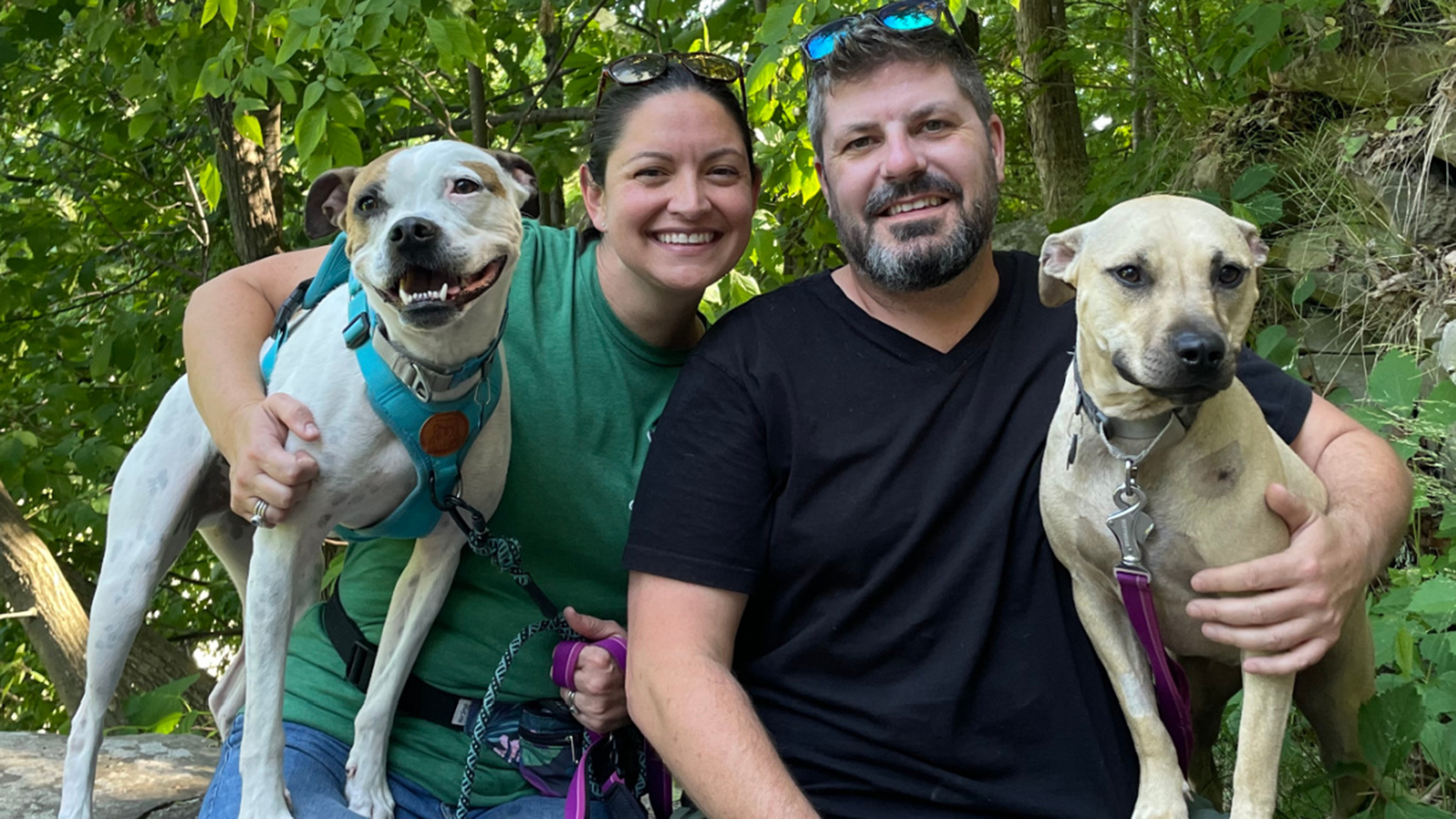 Katie Leonard and her husband, Franklin Donn, are pictured with their dogs.