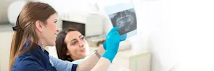 Anatomía de los dientes: ¿Cuántos dientes tienen los humanos? article link