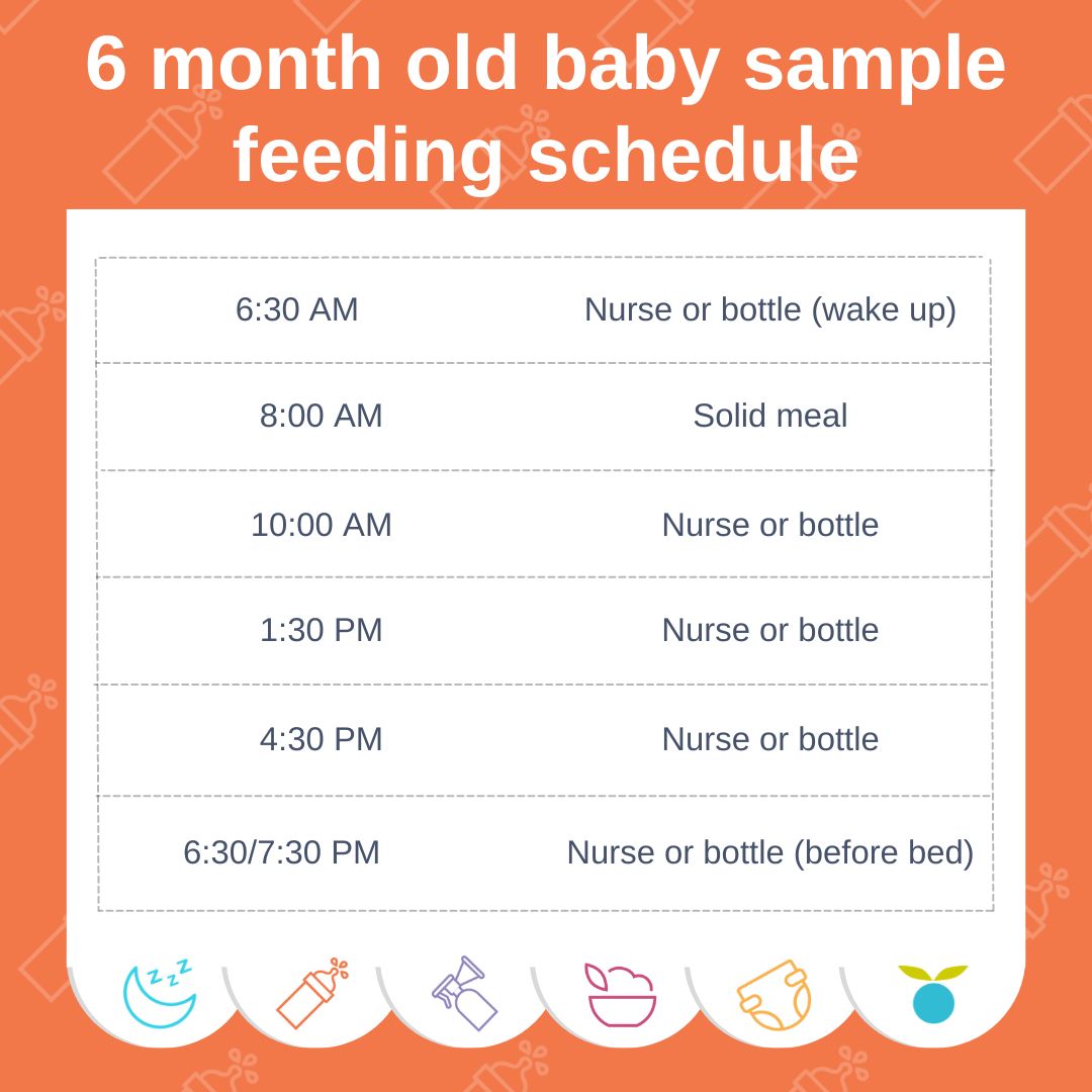 A graphic of a 6 month old baby sample feeding schedule.