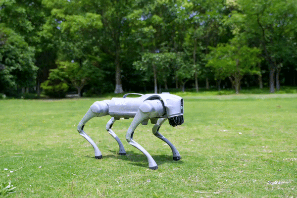 Robot bérlés rendezvényekre