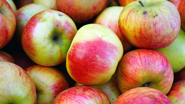 Neue und alte Apfelsorten: Der Elstar