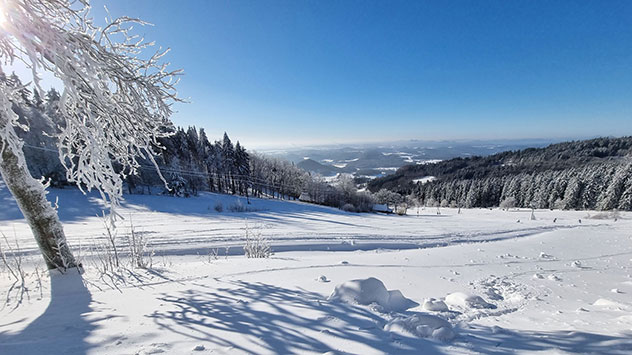 © Martin Richter via WetterMelder Deutschland Schneelandschaft