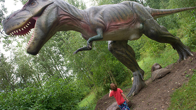 T-Rex im Dinosaurierland Rügen