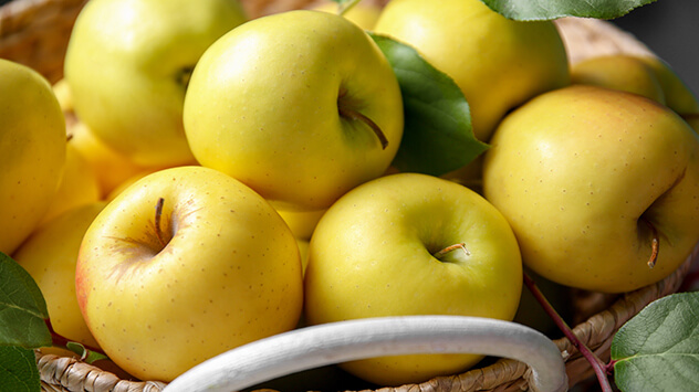 Neue und alte Apfelsorten: Der Golden Delicious