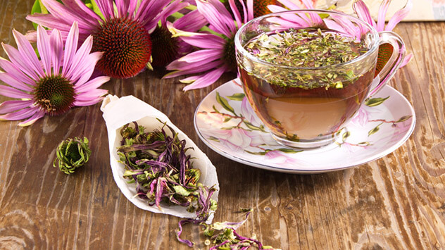 Echinacea-Tee um das Immunsystem zu stärken