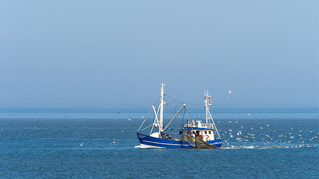Fischkutter im Meer vor Norderney