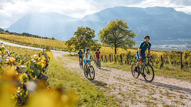 Radfahrende Familie in den Weinbergen des Trentinos