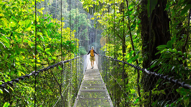 Wanderin auf einer Hängebrücke im Regenwald