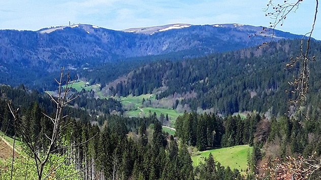 Aprilsommer auf dem Feldberg im Schwarzwald