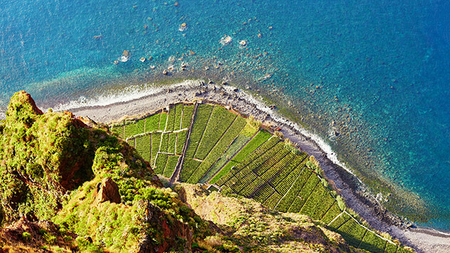 Blick auf die Terrassenfelder unterhalb der Klippe Cabo Girao