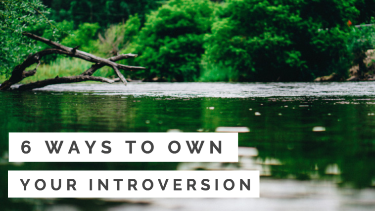 6 Ways to Own Your Introversion