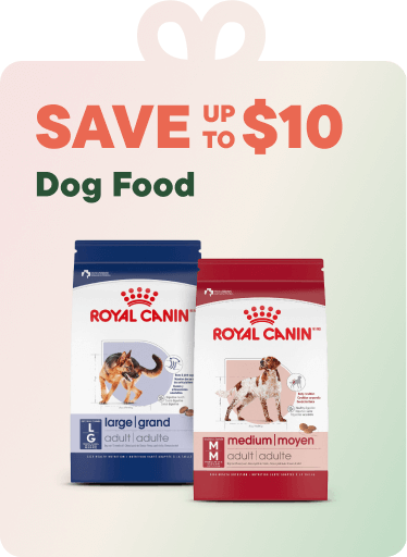 Save up to $10 on Dog Food