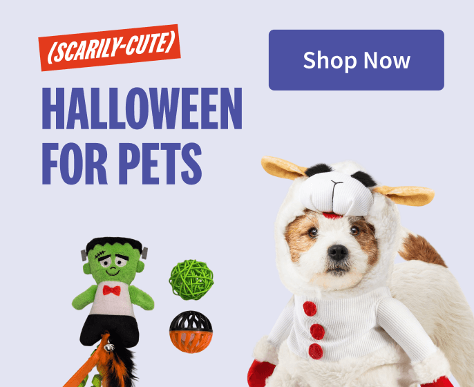Scarily-Cute Halloween for Pets. Shop Now