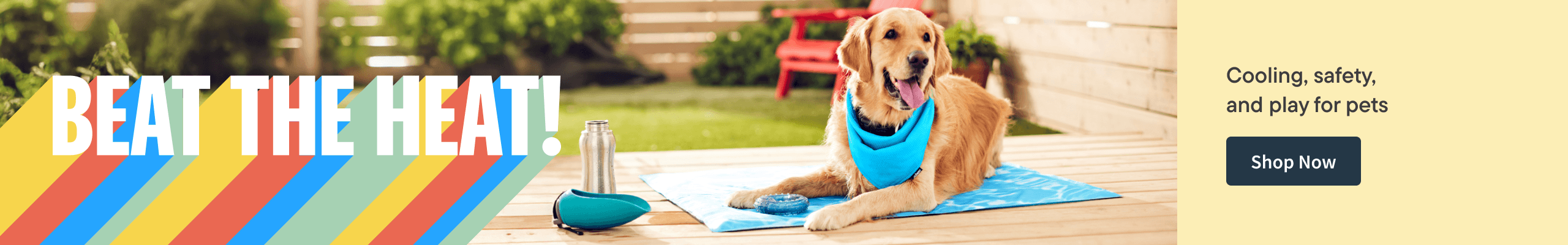 Summer Essentials, Cooling & Outdoor fun for pets this season