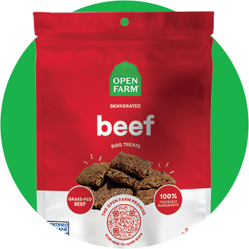 Dog Treats