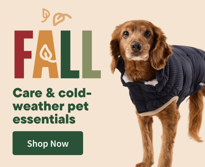 Fall Banner