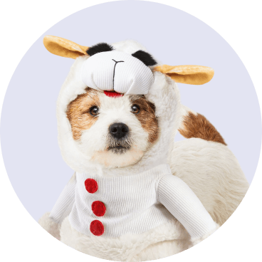 Dog - No Background - Halloween