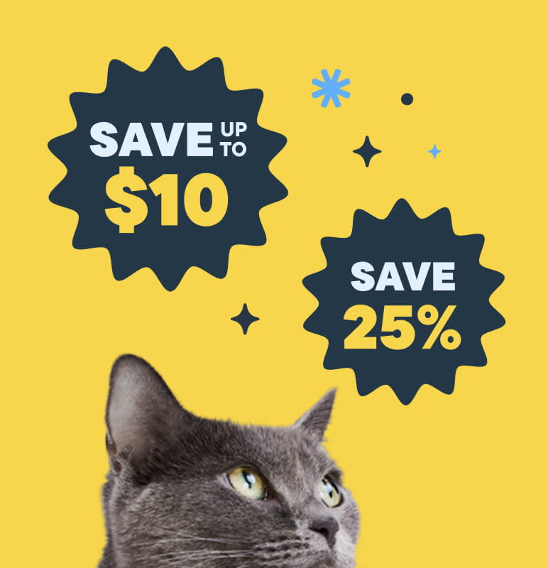 Black Friday 2025 - Early Event - Hero Banner Column 1 Image