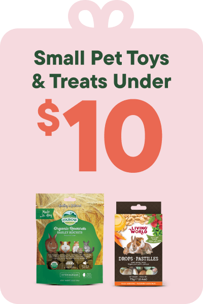 Gifts Under the Tree Callout - Small Pet Toys & Treats Under