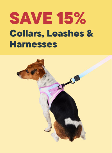 Collar, Leashes & Harness- Save Up To 15%