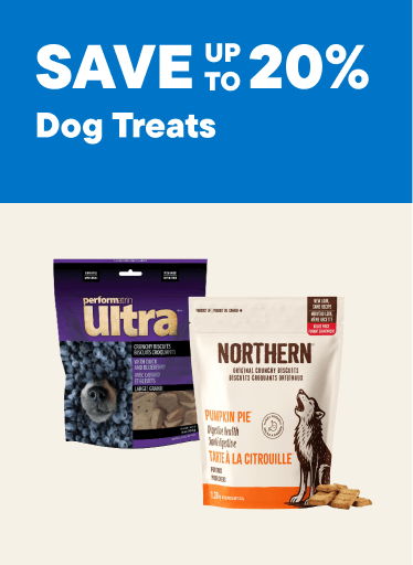 Dog Treats - Save up to 20%