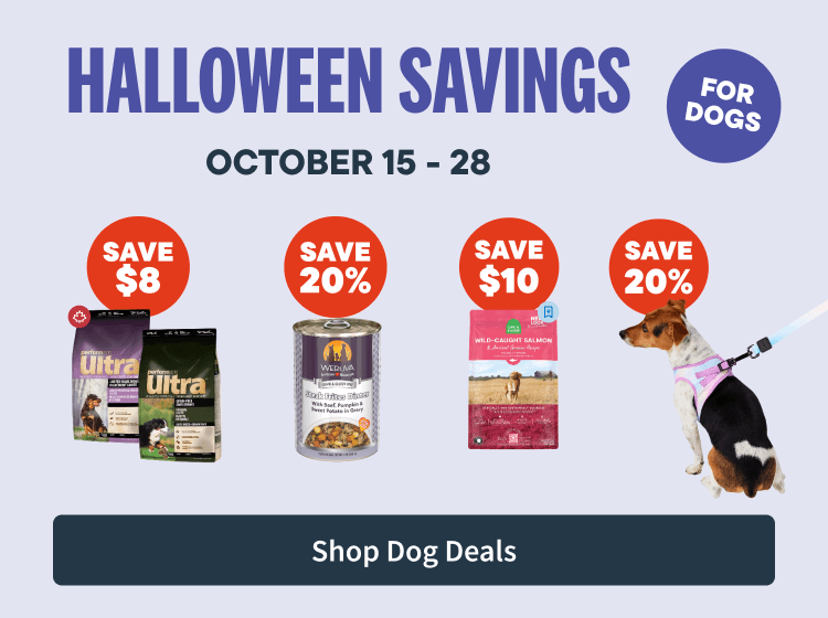 Halloween Savings for dogs - October 15 to 28 - Shop Dog Deals