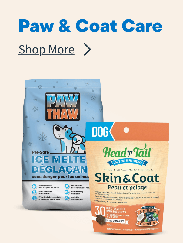Cold Weather Paw & Coat Care