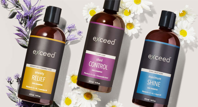 Exceed Step 1 Cleanse product collage