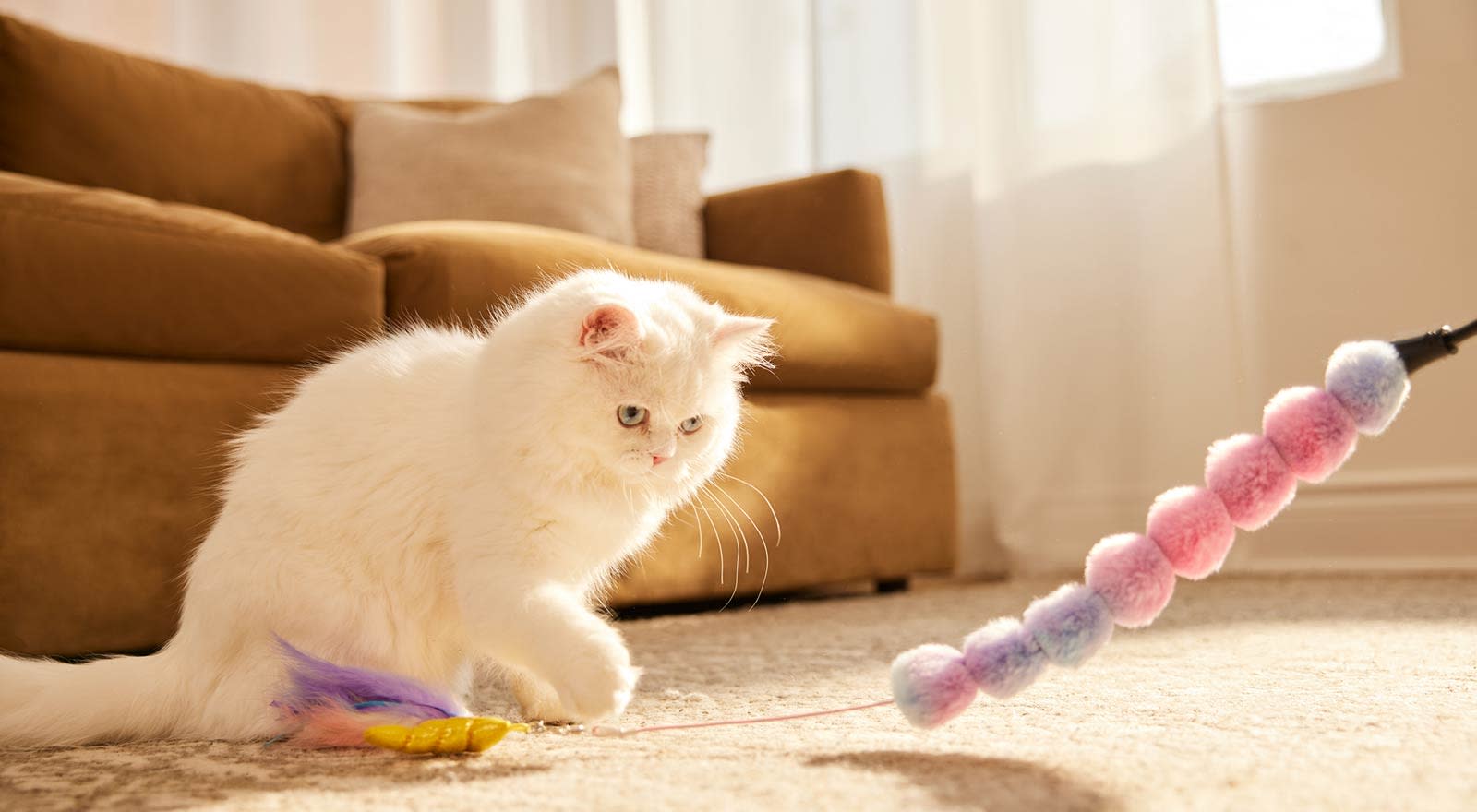 Fluffy white cat playing with a cat toy