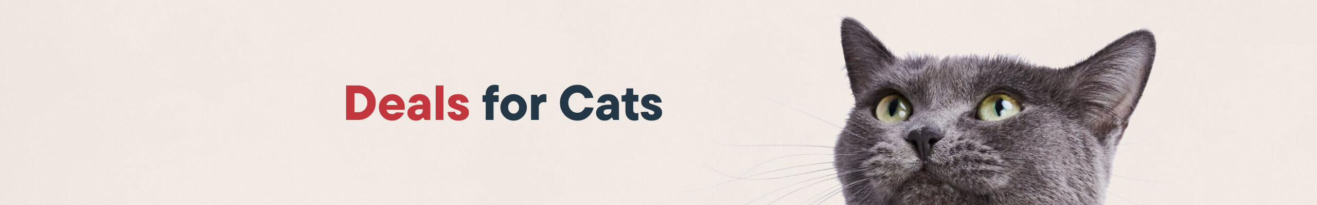 Deals for cats