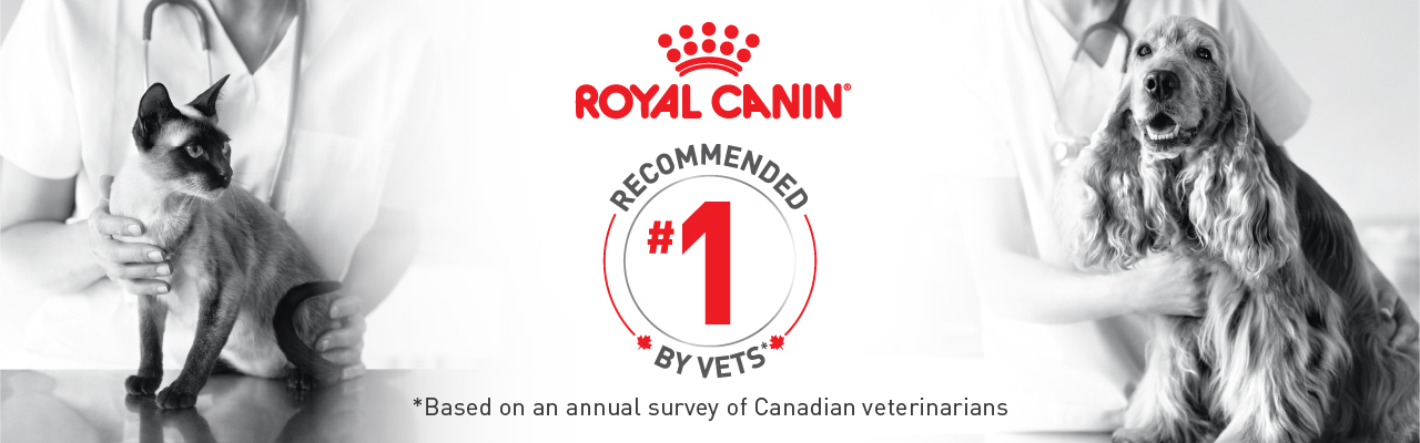 Royal Canin - Recommended # 1 - Based on an annual survey of Canadian veterinarians
