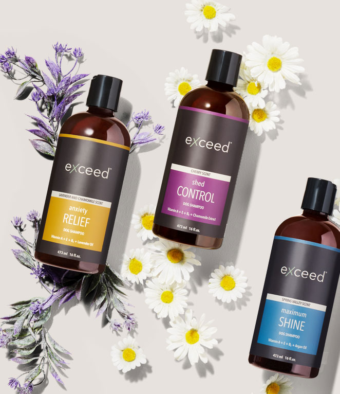 Exceed Step 1 Cleanse product collage