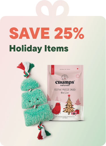 Save 25% on Holiday Items