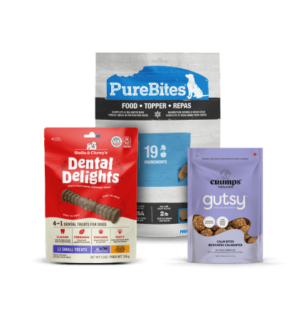 New Arrivals Dog Food & Treats - Shop Now