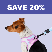 Dog Megamenu Callout 4 - Save 20%