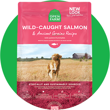 Dry Dog Food