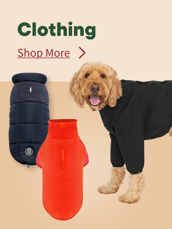 Fall Clothing
