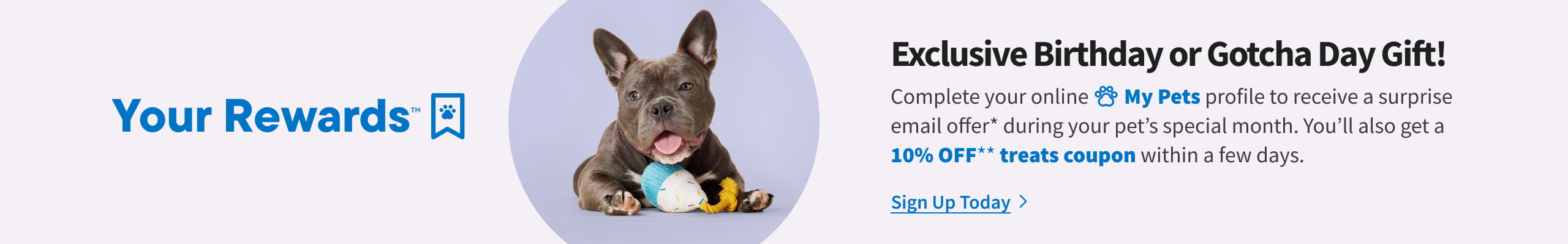 Your Rewards - Exclusive Birthday or Gotcha Day Gift!