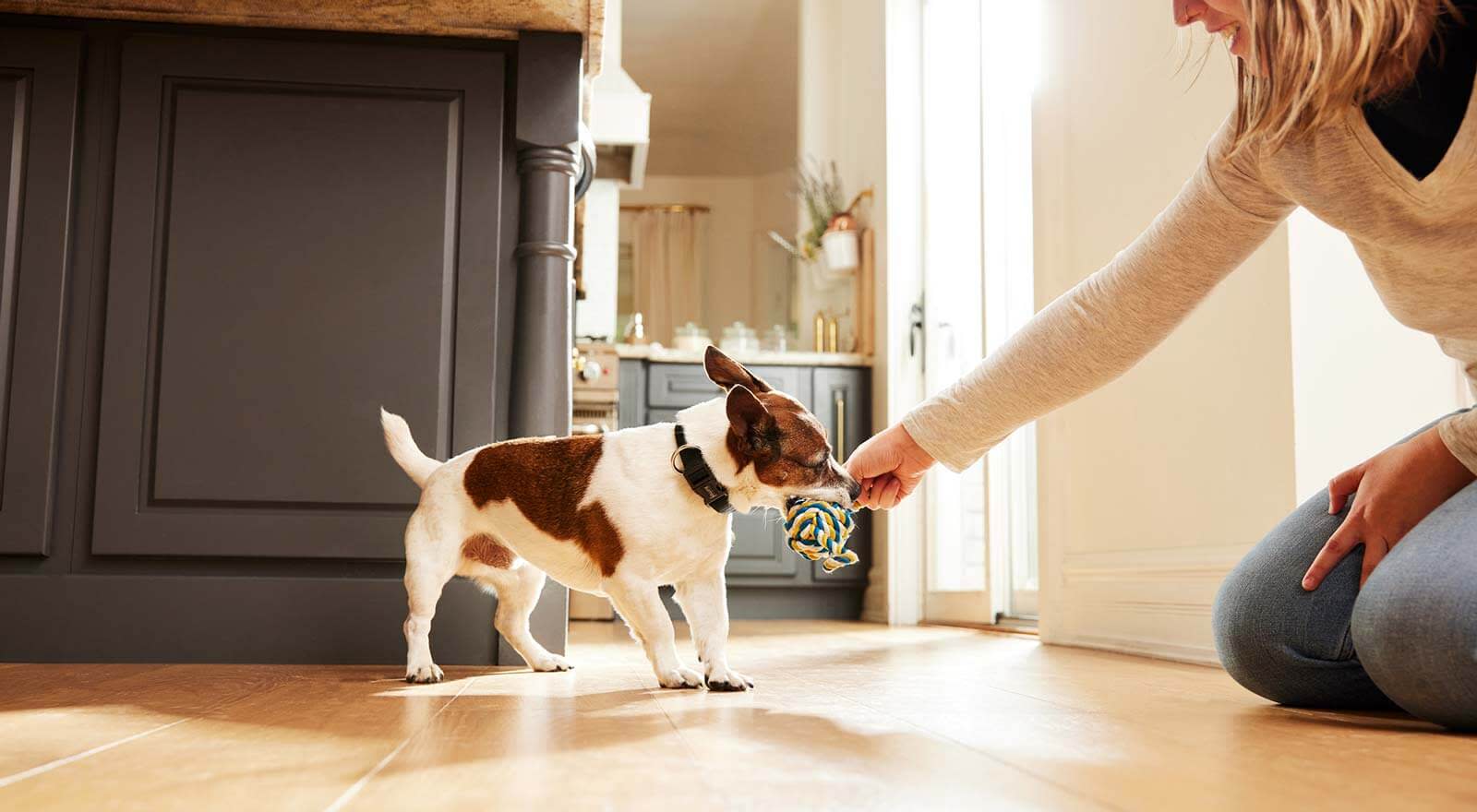 Woman playing with her dog using a small dog toy