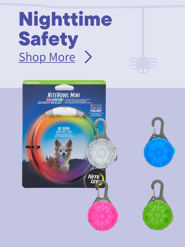 Halloween Nightime Safety