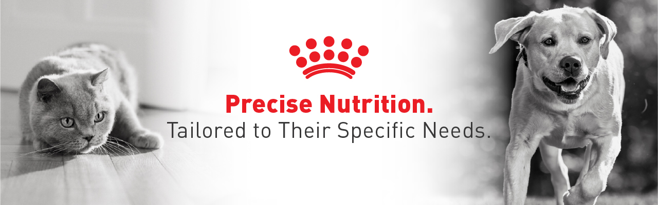 Royal Canin - Precise Nutrition - Tailored to their specific needs.