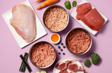 performatrin culinary's raw dog food and gently cooked dog meals.
