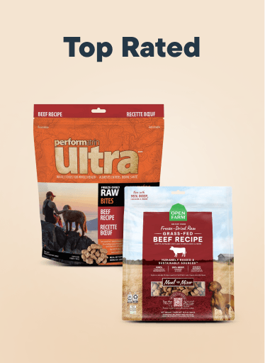 Top Rated