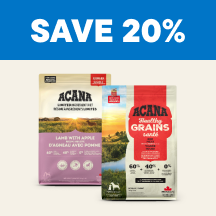 Dog Megamenu Callout 4 - Save 20%