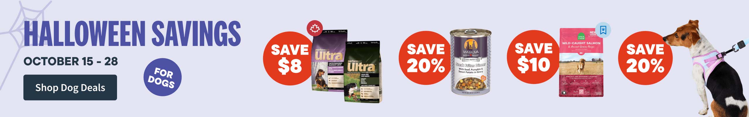 Halloween Savings for dogs - October 15 to 28 - Shop Dog Deals