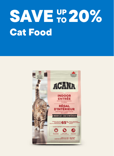 Cat Food – Save up to 20%