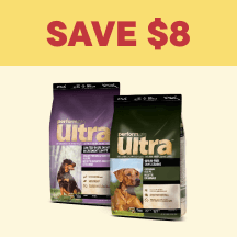 Dog Megamenu Callout 1 - Save $8