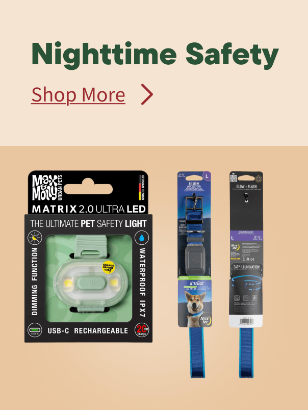 Fall Nightime Safety
