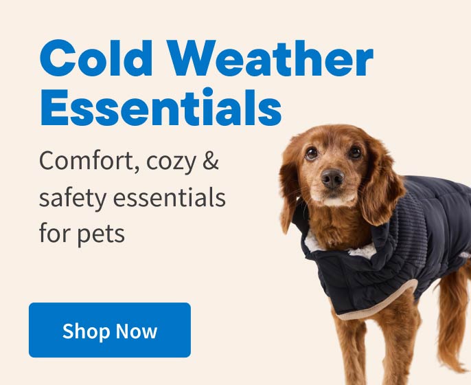 Cold Weather Essentials. Comfort, cozy & safety for pets. Shop Now