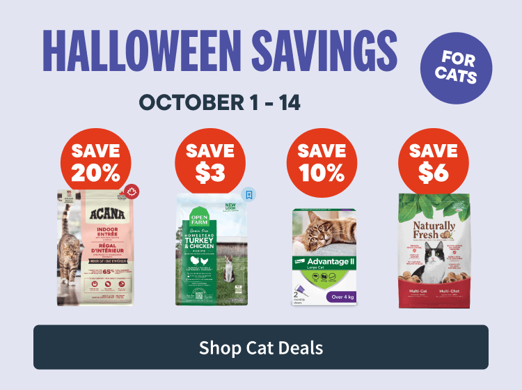 Halloween Savings for cats - October 1 to 14 - Shop Cat Deals